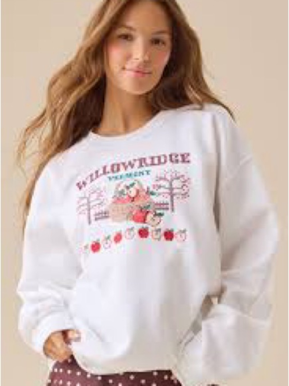 Altar’d State Willowridge Vermont Embroidered Sweatshirt
